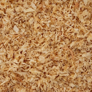 Aparas