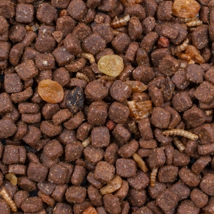 Mix Ouriços