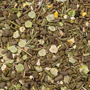 Chinchilas