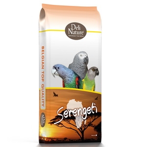 20 - Papagaios Serengeti