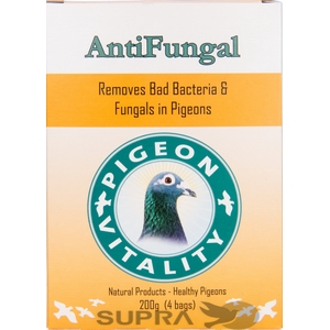 AntiFungal