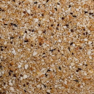 Papa Criação Bianco Húmida