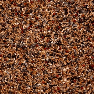 29 - Verdilhões Suprema