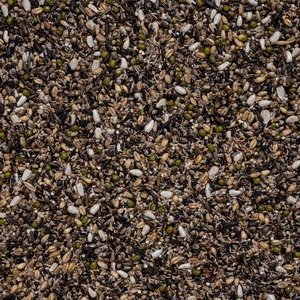 38 - Germ. Pass. Eur. Suprema