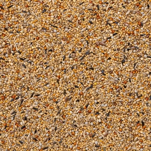 43 - Exót. Africanos Suprema