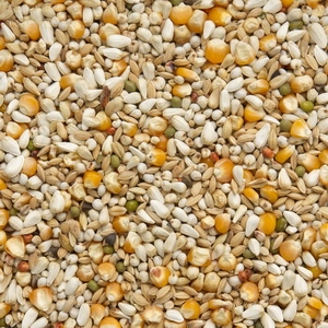 Vandenabeele Premium