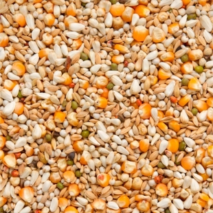 Vandenabeele Premium
