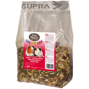 Porquinhos-da-Índia