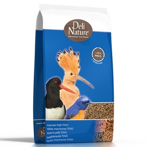 Papa Insectívora Tovo