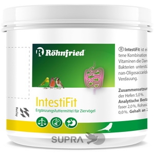 IntestiFit