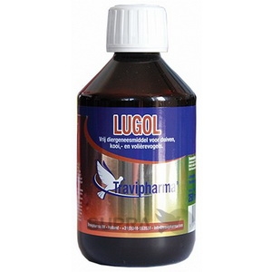 Lugol+
