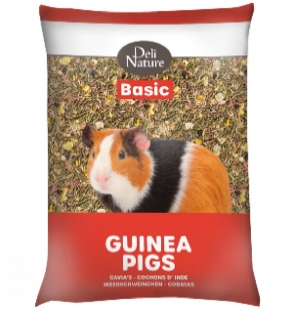 Porquinhos-da-India