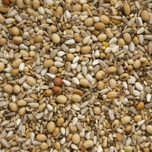 Premium Super Energy